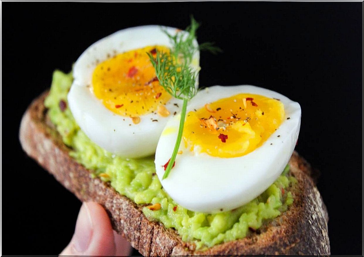 Eggs in the diet to obtain phosphorus.