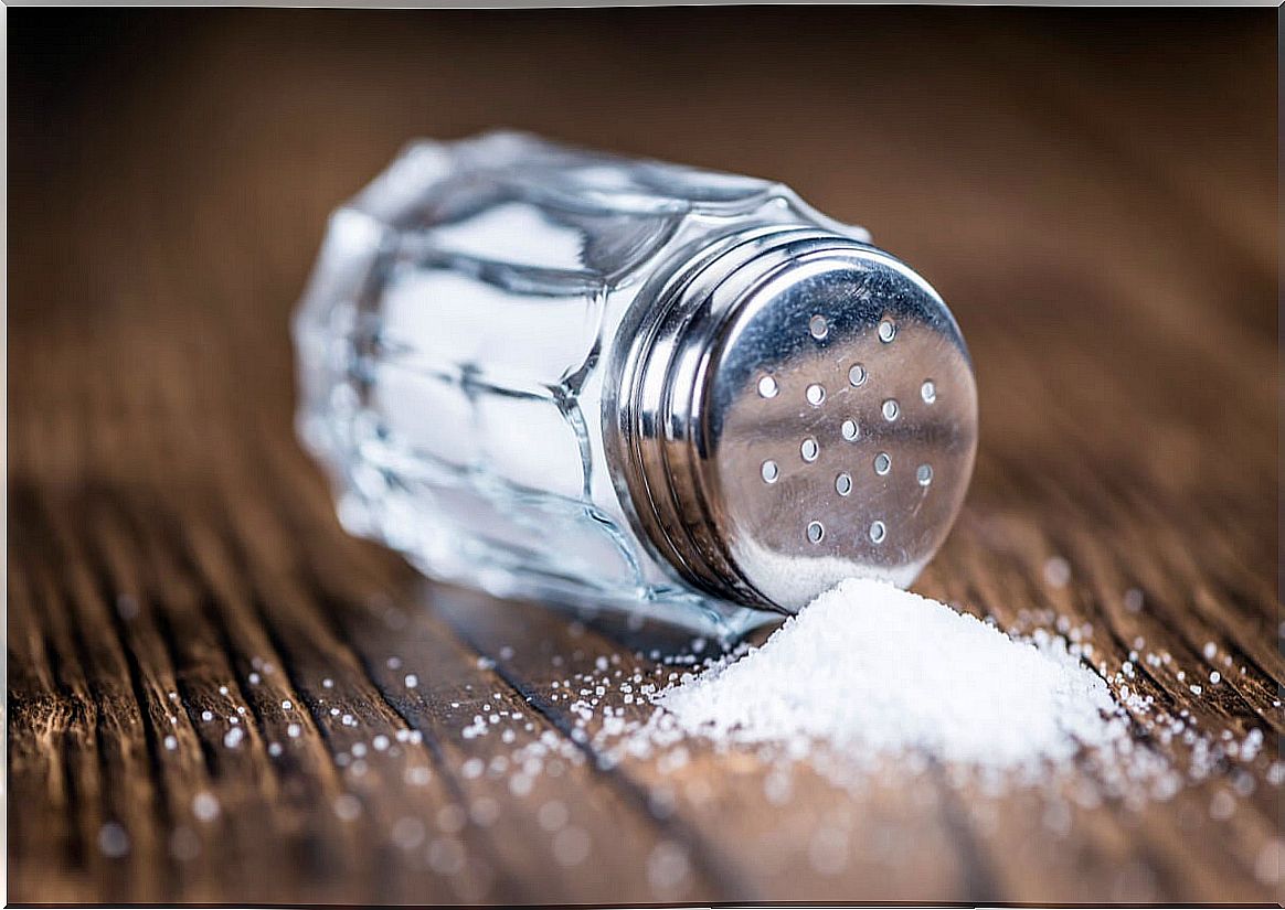 Table salt shaker