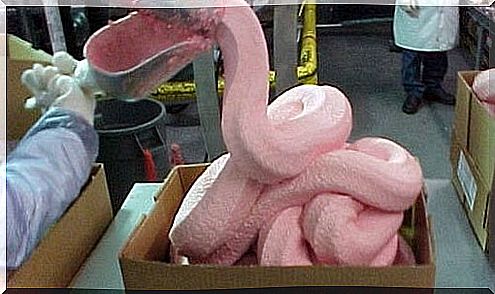 With this pink pasta the chicken nuggets are created.