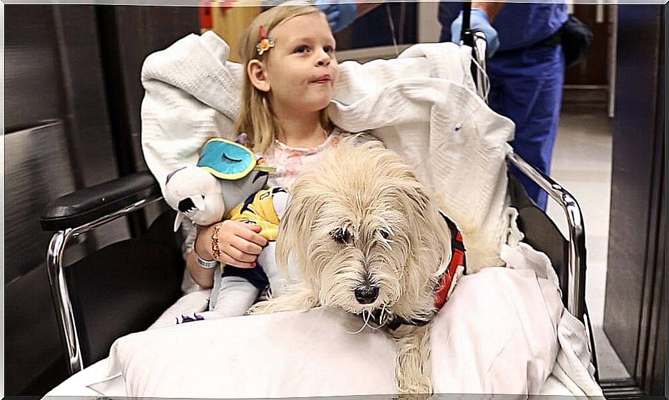 Little girl in hospital with her dog