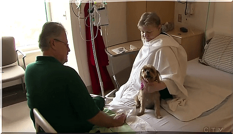 Woman in hospital with her dog