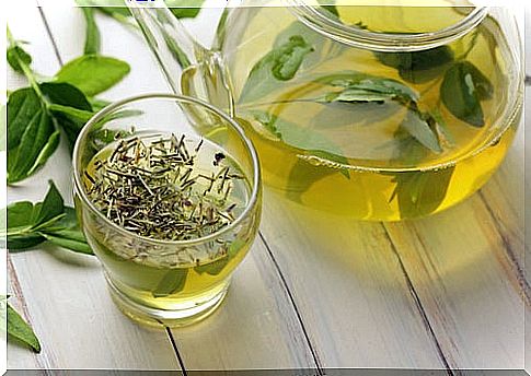 Green tea to prevent angina pectoris