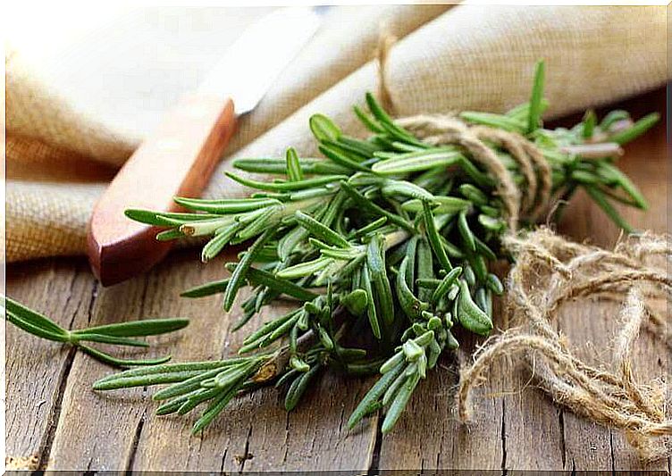 Rosemary is used in various ways in cooking and cosmetics.