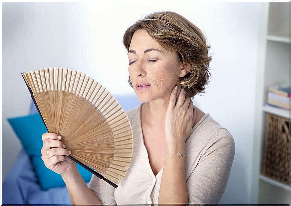Menopause without discomfort: 5 plants that help you