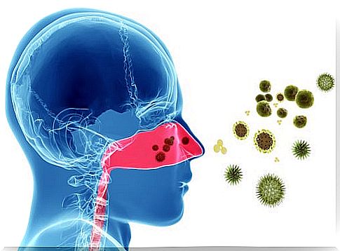 Natural remedies for nasal allergies