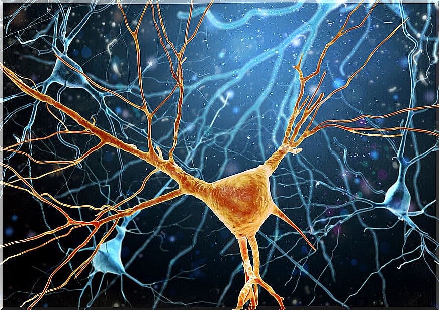 How is neurogenesis carried out?
