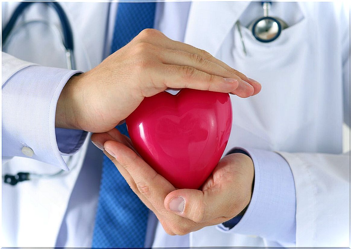 Doctor holds a heart.