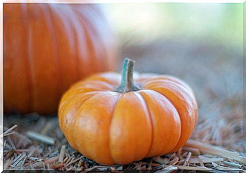 pumpkin and pumpkin benefits